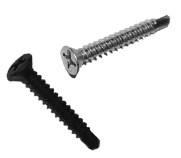 Screw for molding